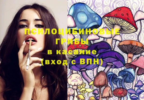 прущий лед Алзамай