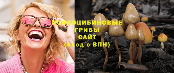 Альфа ПВП Елабуга