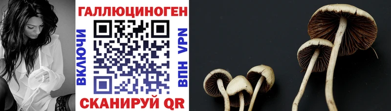 цена   Менделеевск  Галлюциногенные грибы ЛСД 